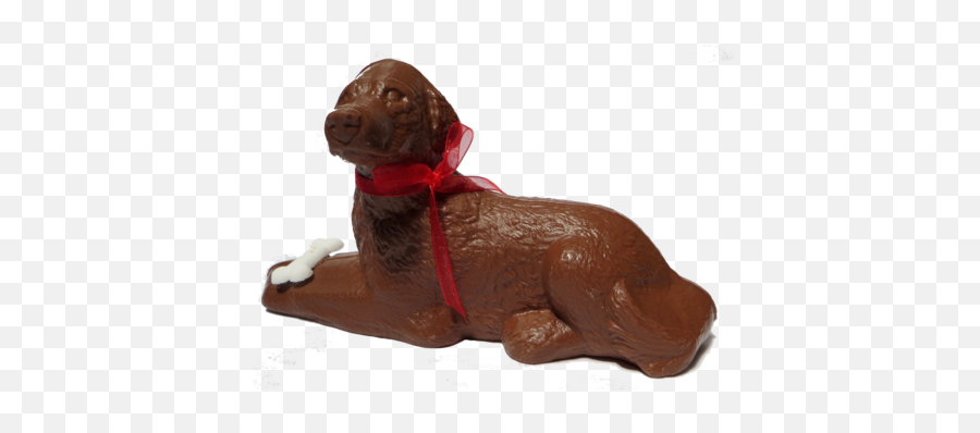 Chocolate Dog - Golden Retriever Cocker Spaniel Easter Chocolate Png,Golden Retriever Transparent