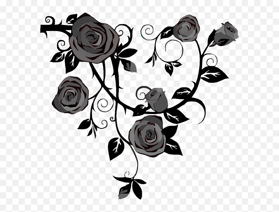 Roses Flowers Gray - Free Vector Graphic On Pixabay Black Roses Clipart Png,Black And White Rose Png