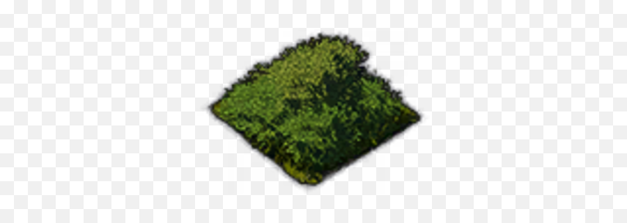 Mature Shrubbery - Wool Png,Shrubbery Png