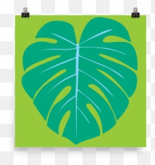 Graeme Luey - Illustration Png,Monstera Leaf Png