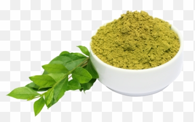 What Are Henna Cones And How To Use - Henna Leaves Png,Henna Png