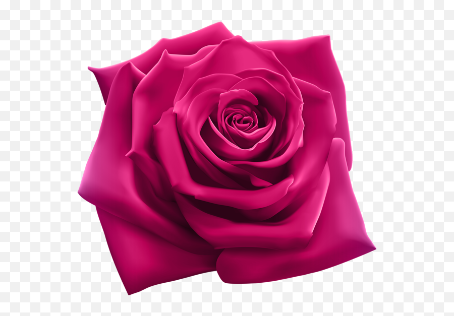 Tyler Rose Clipart Freeuse Png Files - Most Beautiful Rose Png,Pink Roses Png