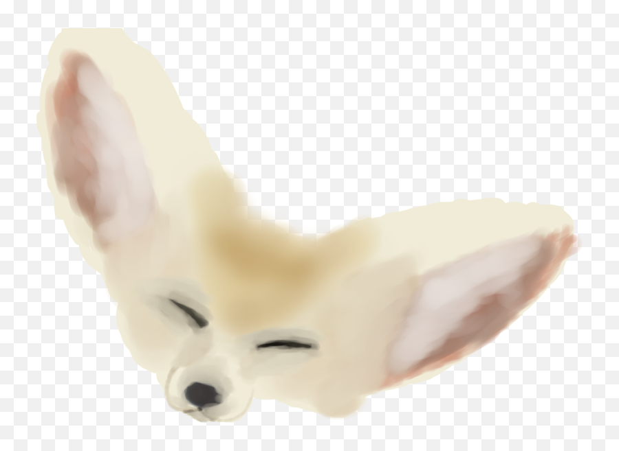 Dog Ear Fur Snout - Fennce Fox Clipart Png,Fennec Fox Png