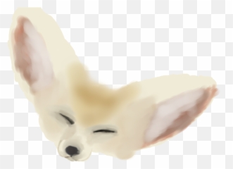 Dog Ear Fur Snout - Fennce Fox Clipart Png,Fennec Fox Png