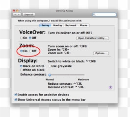 Zoom - Screenshot png