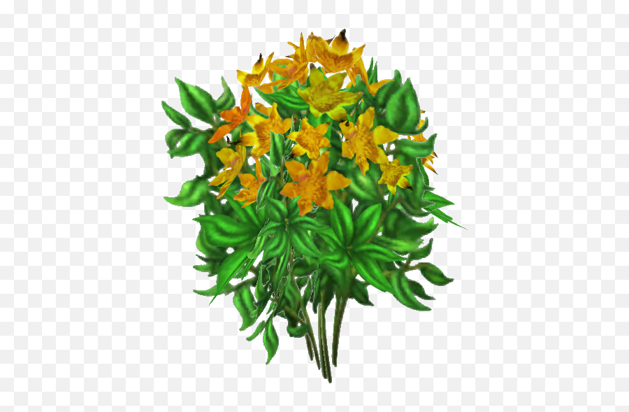 Desert Marigold - Lily Family Png,Marigold Png