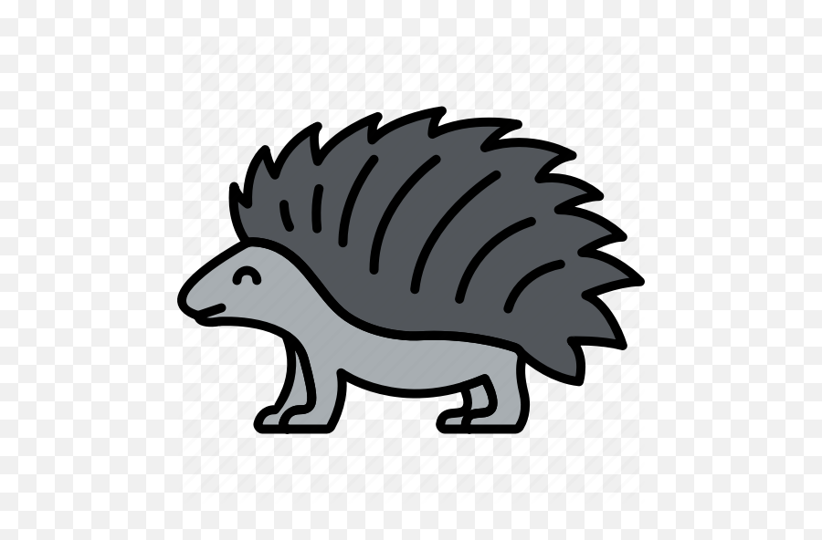 U0027animal - Vivid Volume 2u0027 By Flaticonscom Echidna Png,Porcupine Png