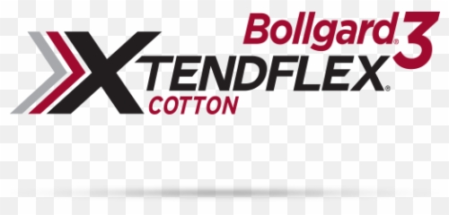 Cotton Traits Bayer - Dassault Systèmes Png,Cotton Png