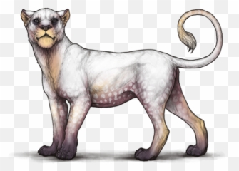 Temporal U0026 Pulsar Markings Lioden - Lioden Lioness Female Lion Png,Speckles Png