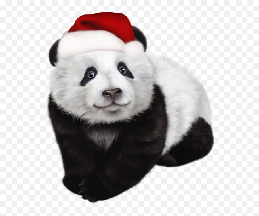Épinglé Par Shannon L Klose Sur Winter - Christmas Panda Png,Red Panda Png