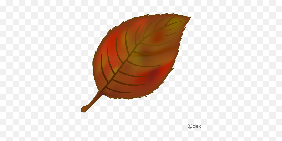 Download Hd Foliage Clipart Red Leaf - Falling Tree Leaves Tree Leaves Clipart Png,Leaf Clipart Transparent