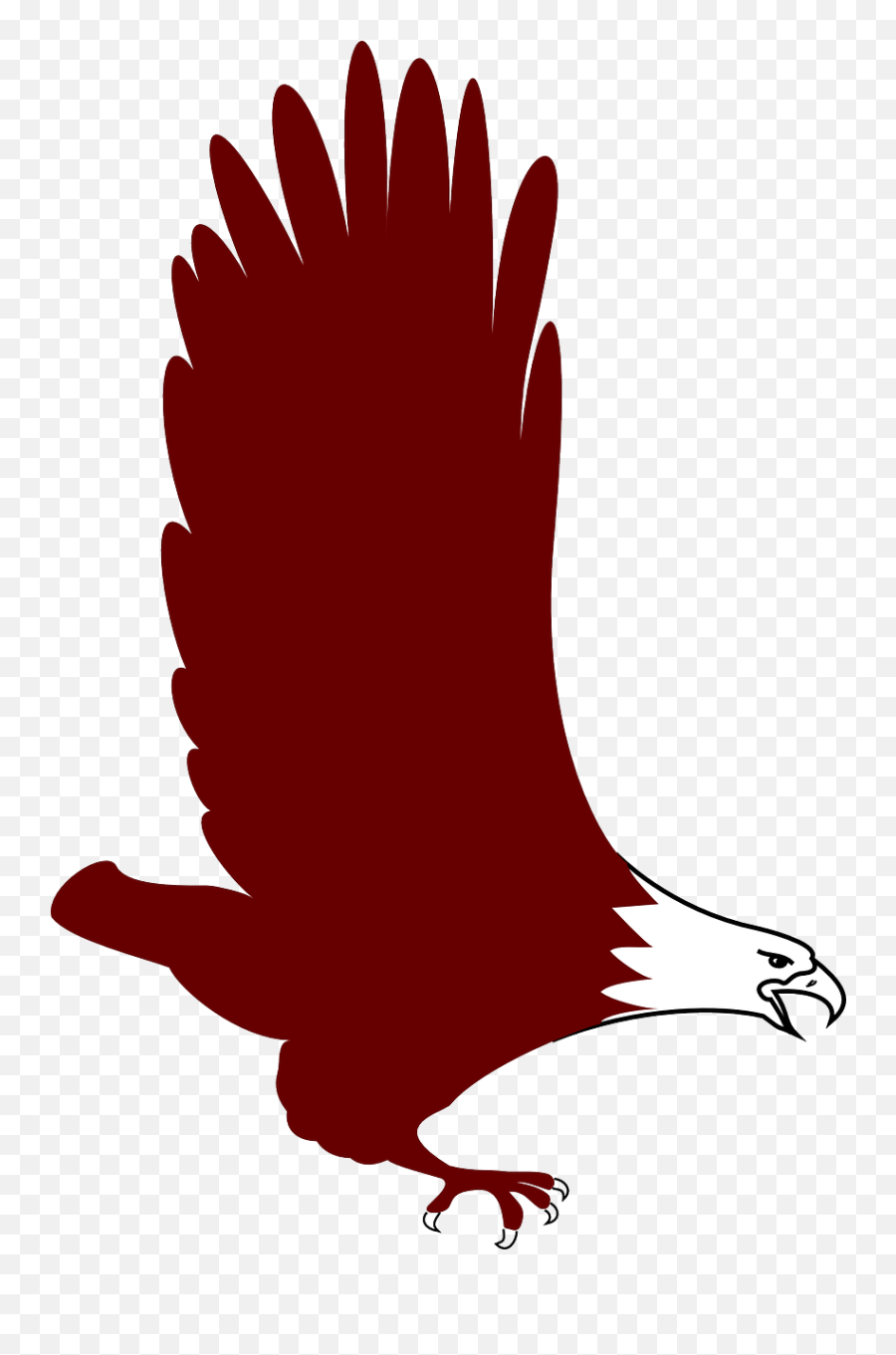 Eagle Bird Flying Wings Transparent Image - Red Eagle Clip Clip Art Png,Eagle Flying Png
