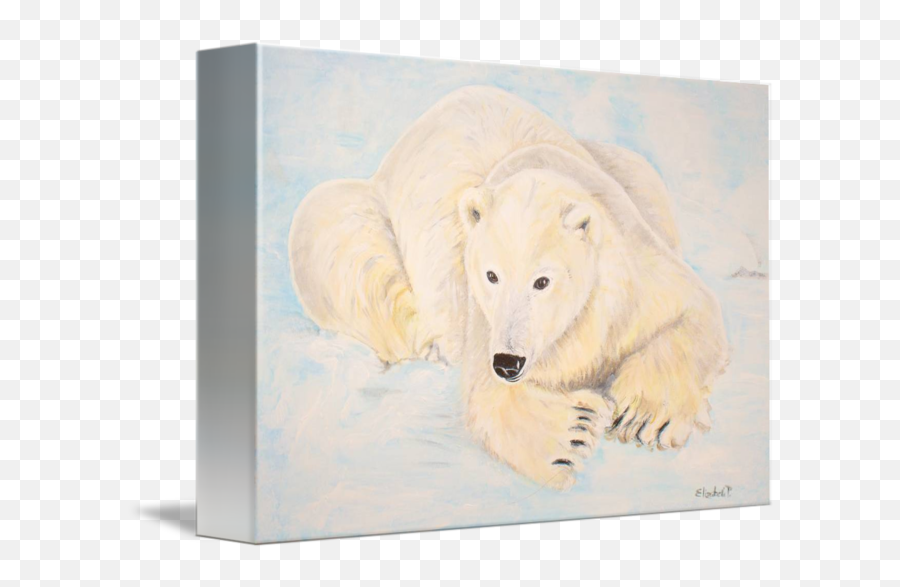 Ice Bear By Elizabeth Petersson - Picture Frame Png,Ice Bear Png