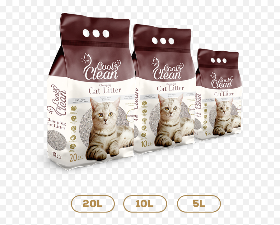 Cool Clean U2013 Patimax - Cool And Clean Cat Litter Png,Cool Cat Png