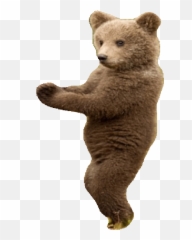 List Of Synonyms And Antonyms The Word Transparent Bear - Animated Dancing Gif png
