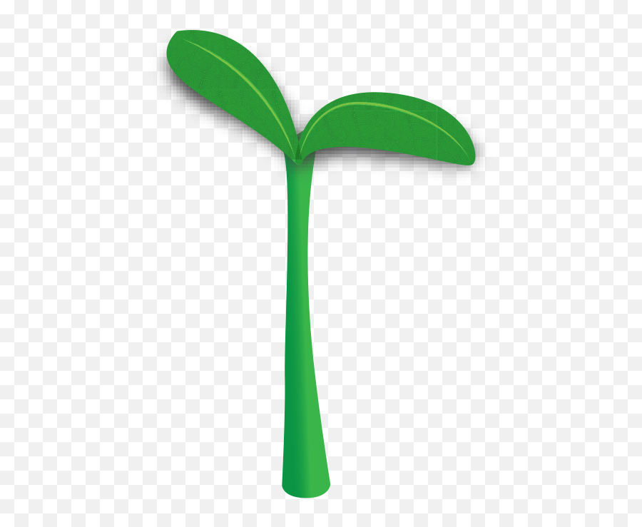 Sprout Clipart Transparent - Sprout Transparent Png Sprout Clipart Transparent,Bean Sprout Icon