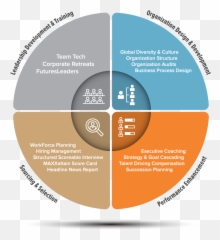 Our Process - Vertical png