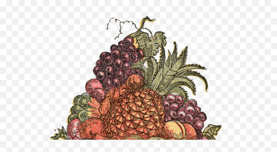 New Blog U2014 Rachel Ripps Schaming - Seedless Fruit Png,Fruits Png