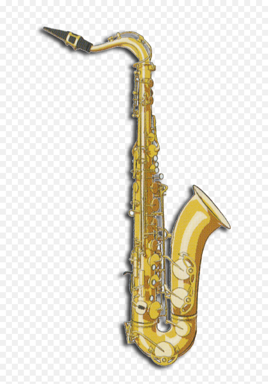 Download Tnr Sax - Yanagisawa Silver Tenor Saxophone Png,Saxophone Transparent Background
