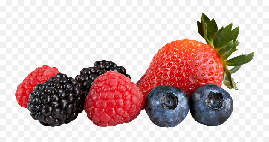 Download Free Berries Transparent Icon - Transparent Berry Clip Art Png,Blueberries Icon