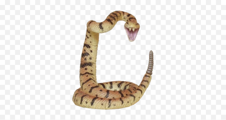 Rattle Snake Psd Free Download Templates U0026 Mockups - Serpiente De Cascabel Png,Rattlesnake Icon
