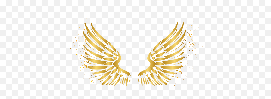 Angel Wings Png Transparent For Free Download - Transparent Gold Wings Png,Angel Wings Icon
