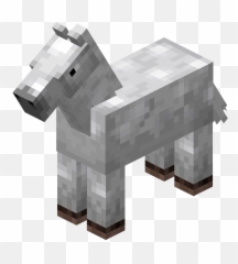 Baby White Horse Png