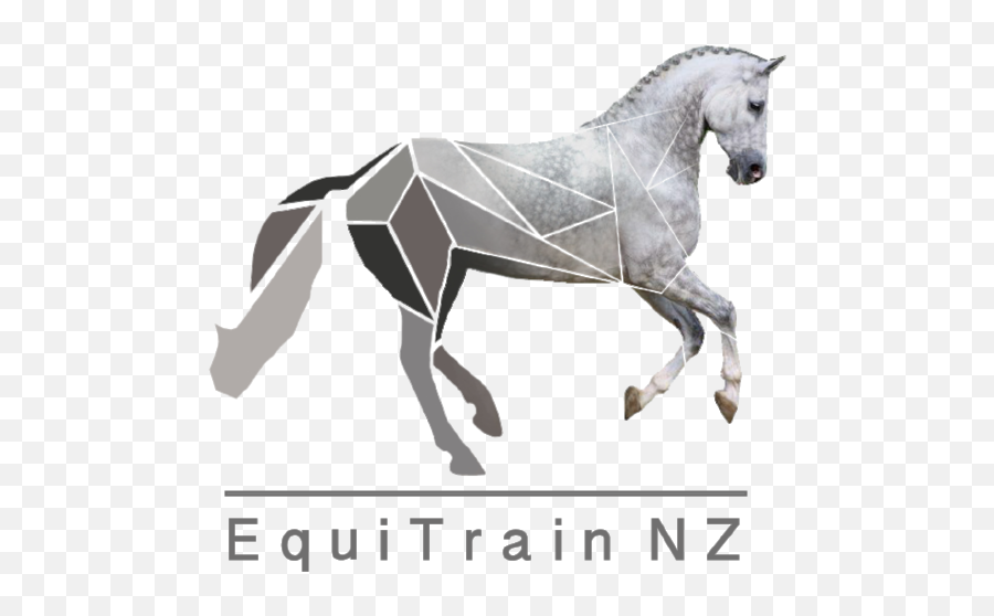Story U2014 Equitrain Nz - Animal Figure Png,Horses Icon