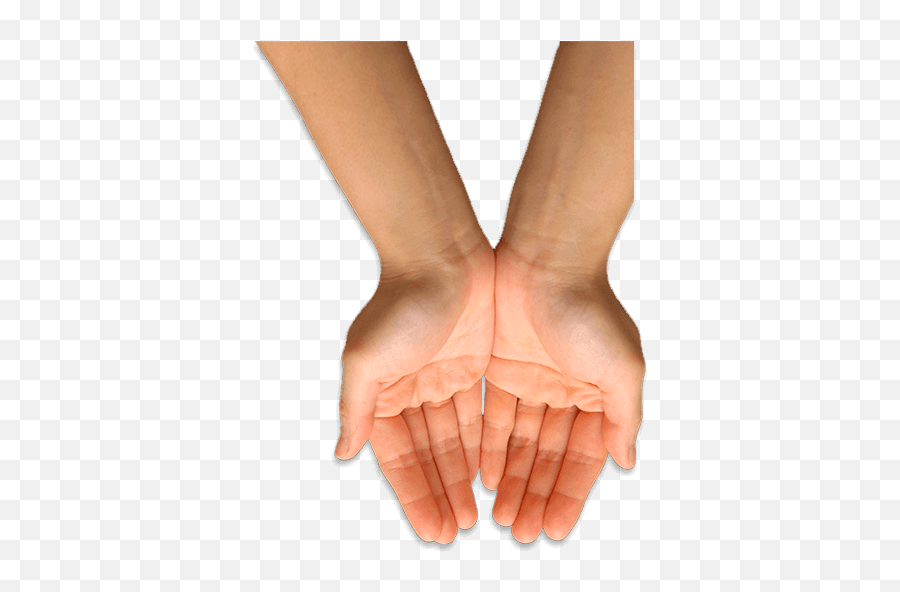 Hand Palm Up Transparent Png Clipart - Wrist,Hand Palm Png