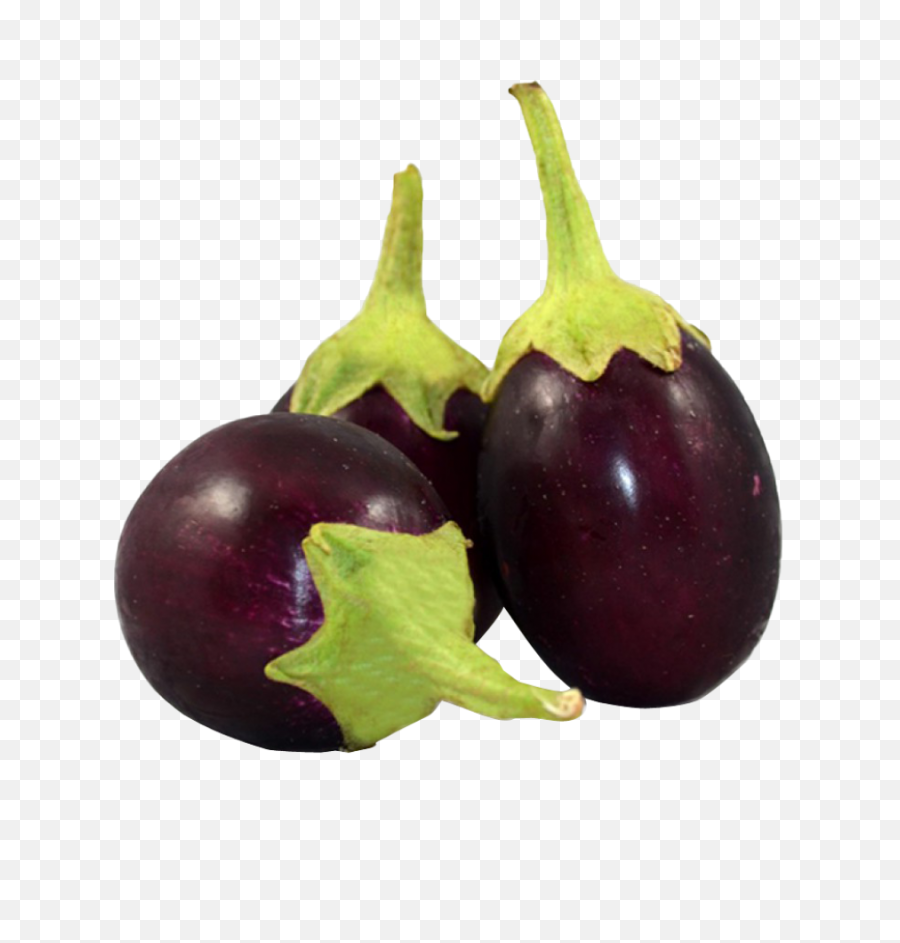 Eggplant Clipart Bringal Transparent Free - Brinjal Png,Eggplant Png