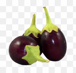 Eggplant Clipart Bringal Transparent Free - Brinjal Png,Eggplant Png