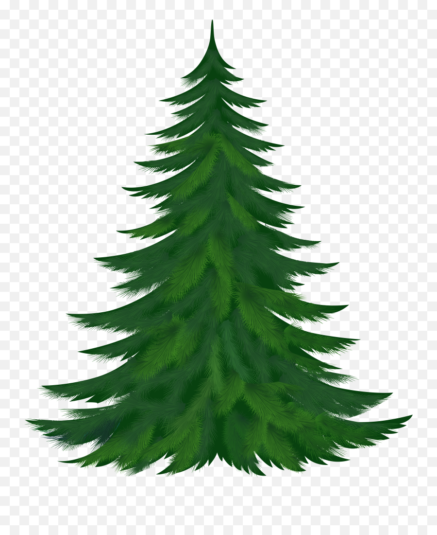 Library Of Pine Tree Clip Art Freeuse - Christmas Tree Clipart Png,Pine Tree Transparent Background