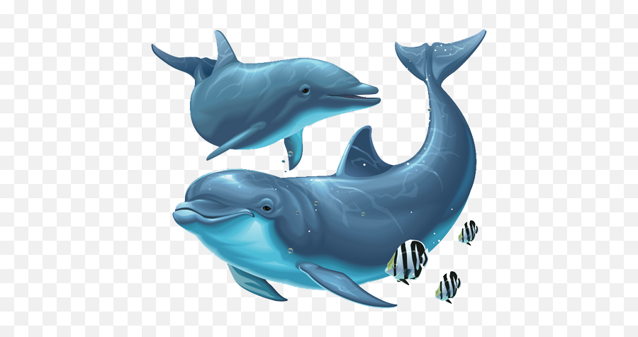 Free Dolphin Png Transparent Images - Transparent Background Dolphin Png,Dolphin Clipart Png