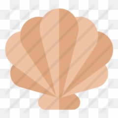 Shell - Illustration Png,Concha Png