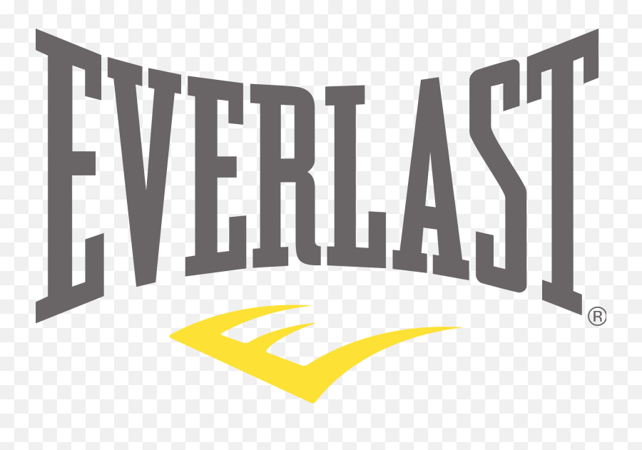 La Historia Y El - Transparent Everlast Logo Png,Y Logo
