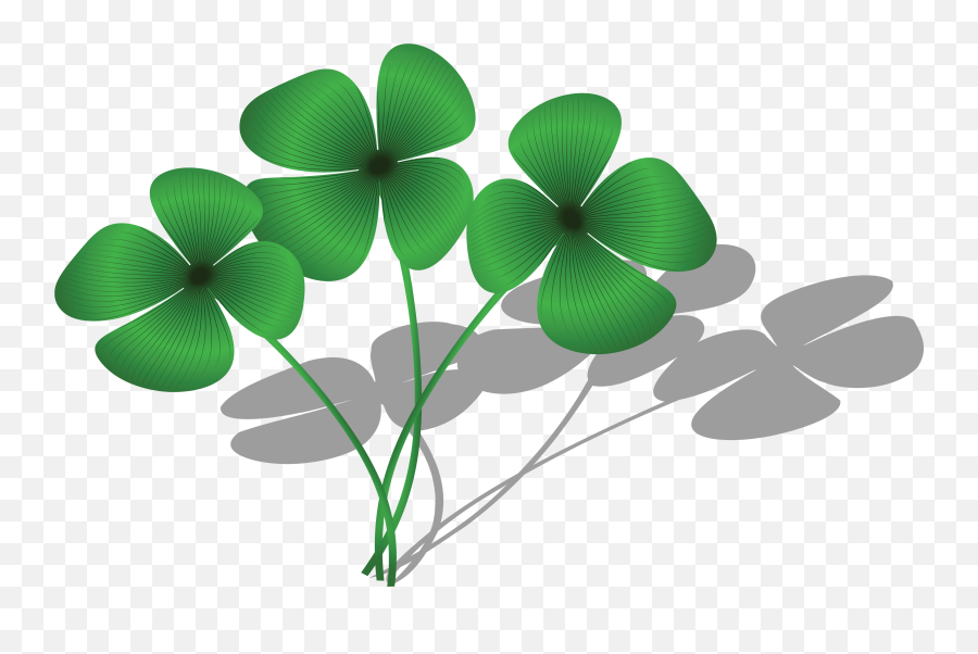 Download Free Clipart Of A Trio Four Leaf Clovers And - Trèfle À 4 Feuilles Dessin Png,4 Leaf Clover Png