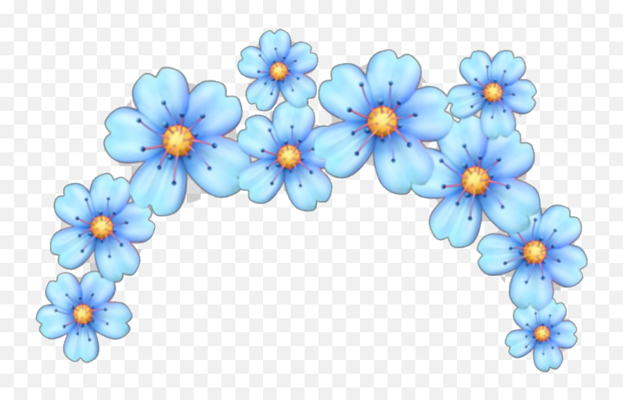 Top Ten Flower Emoji Png Tumblr Crown Transparent