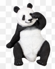 Oso Panda Png - Oso Panda En Png,Oso Png