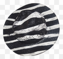 Beetlejuice Wannabe Painted Weave Hat Stormritter - Monochrome Png,Beetlejuice Png
