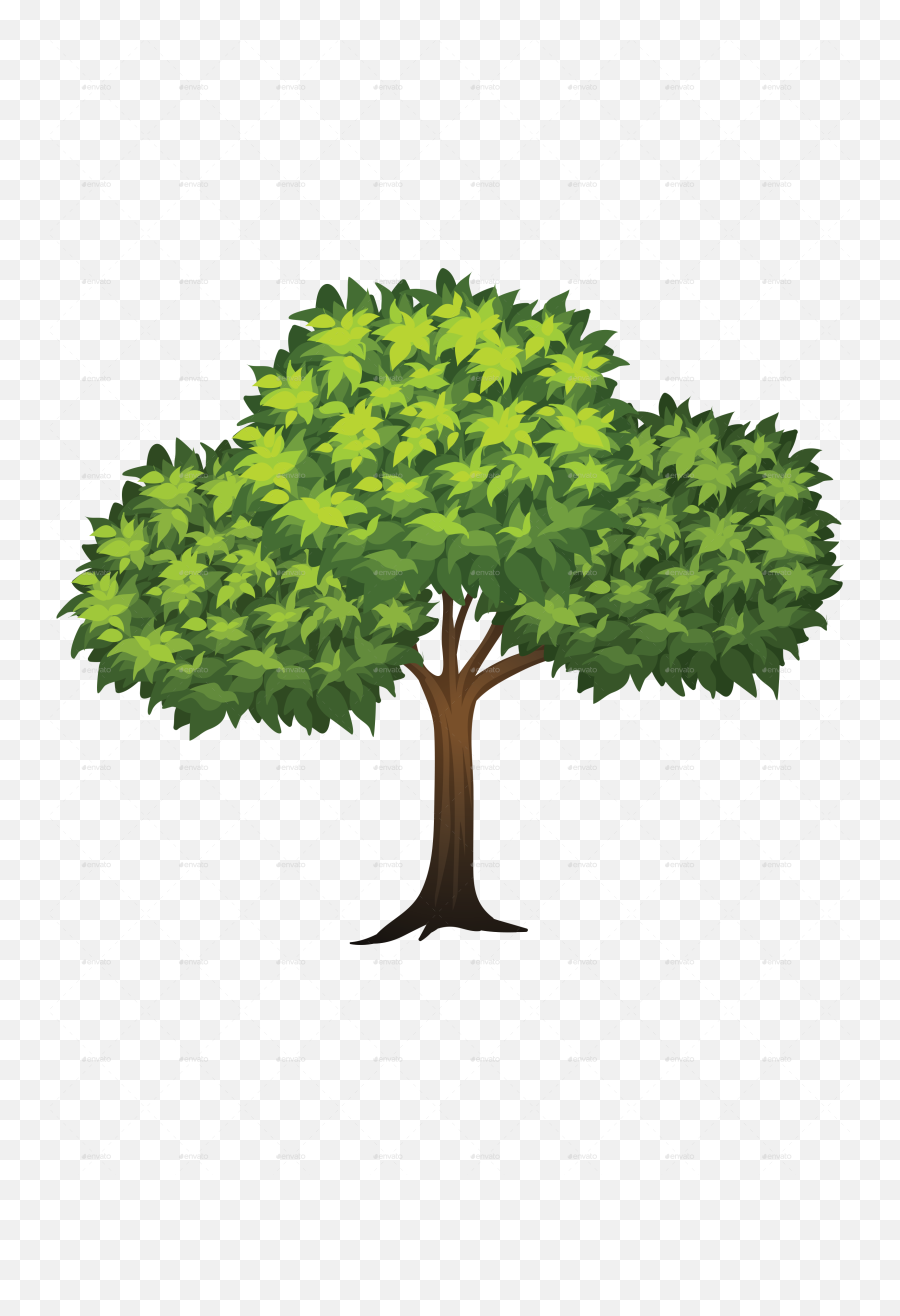 Trees Vectors - Trees Jpg Png,Tree Vector Png