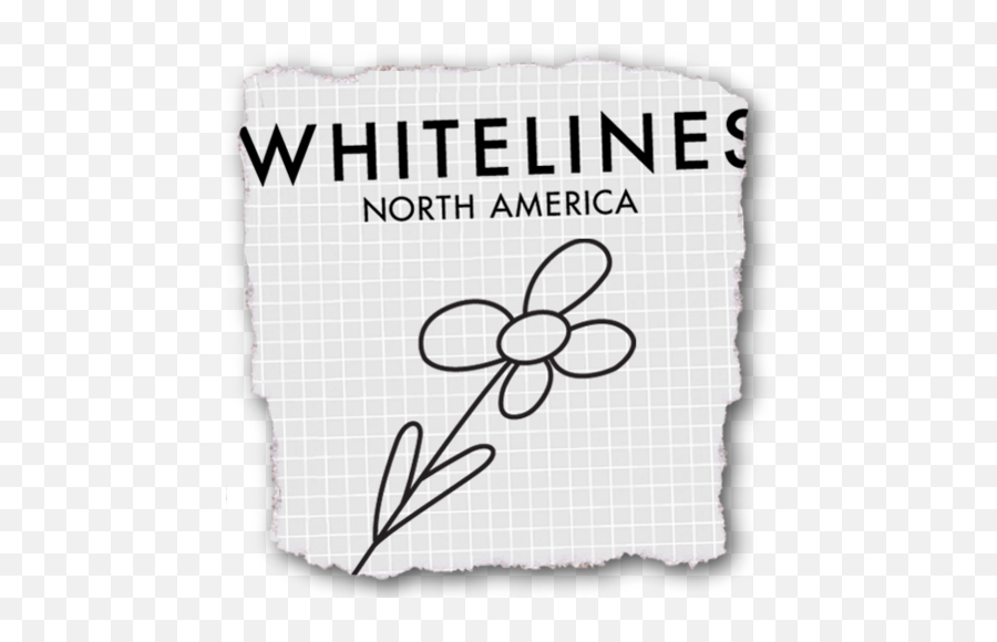 Whitelines Whitelinesusa Twitter - Zonamerica Png,White Lines Png