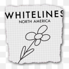 Whitelines Whitelinesusa Twitter - Zonamerica Png,White Lines Png