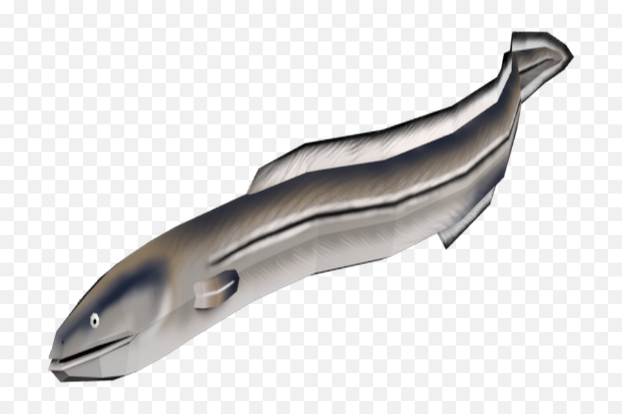 Transparent Eel - Poly Ammunition Clipart Full Size American Eel Png,Eel Png