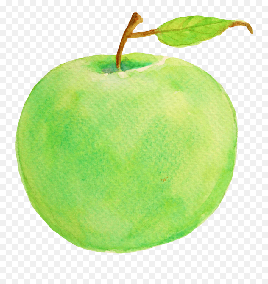 The Green Apple Project Png Logo Transparent