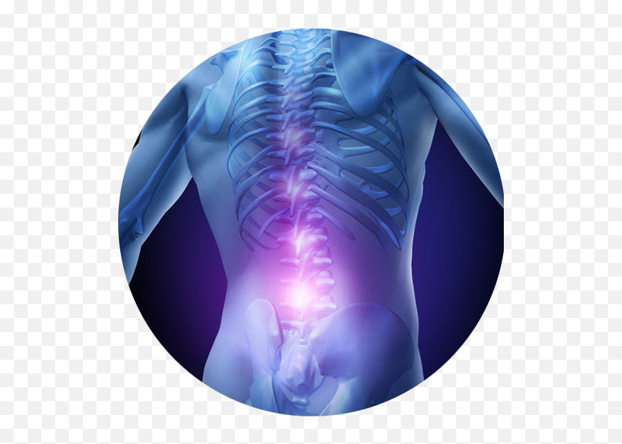 Low Back Pain Relief Fayetteville Nc Valley Physical Medicine - Digital X Ray Body Png,Pain Png