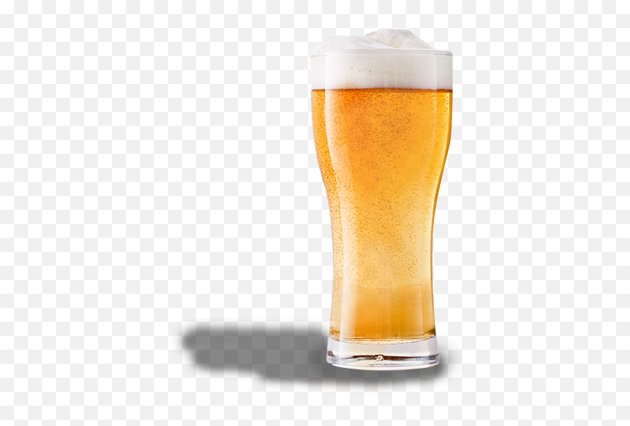 Beerwisdom - Willibecher Png,Beer Transparent