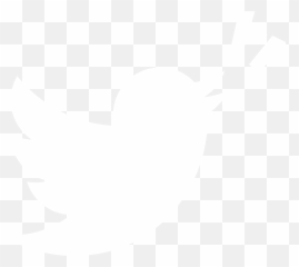 Brawl Stars Championship 2020 - Red And Yellow Twitter Logo Png,Brawl Stars Logo Png