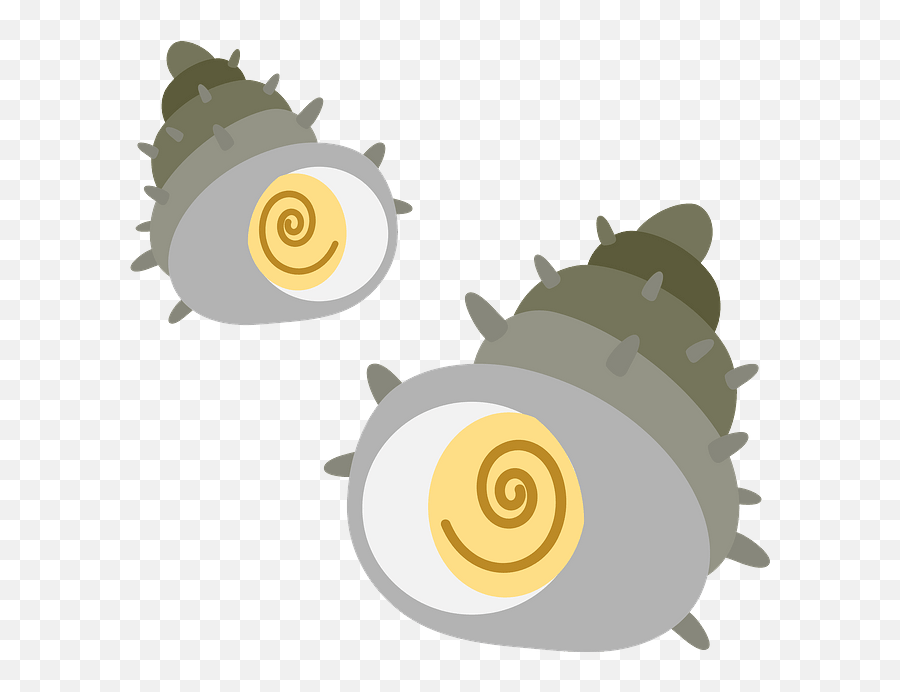 Mollusc Clipart Free Download In Png Or Vector Format Turban