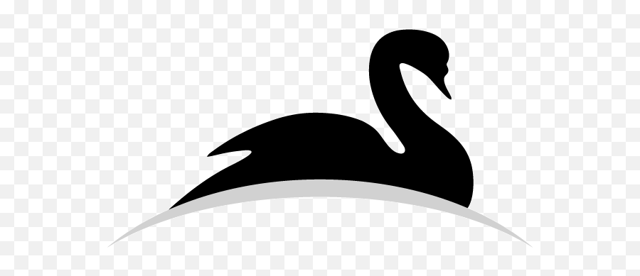 Home - Werexpats Black Swan Png,Swan Logo