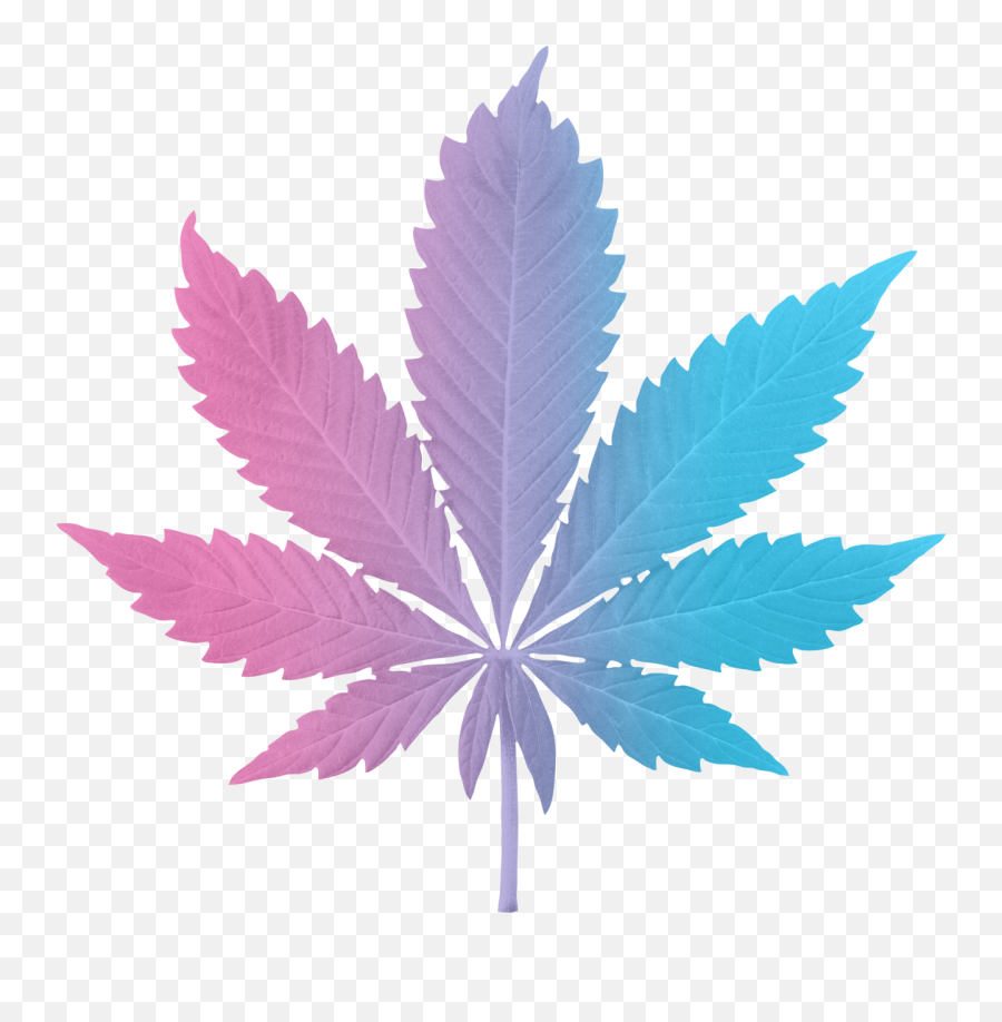 Paradiso Gardens - Weed Pdf Png,Indica Icon